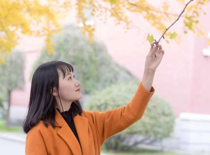 菲律宾有多少个华人华侨(华人华侨详解)